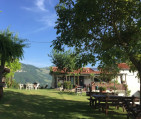 Laperegina