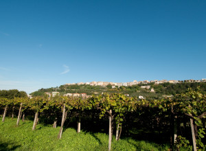 image18 Casa Dell'Orto