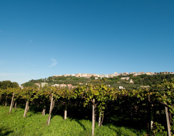 Casa dell'Orto
