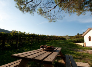 image0 Casa Dell'Orto