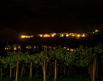 Casa dell'Orto