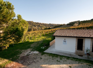 image24 Casa Dell'Orto