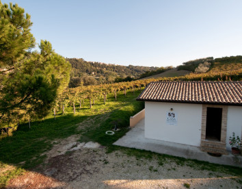 Casa dell'Orto