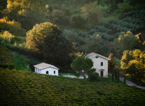 image1 Casa Dell'Orto