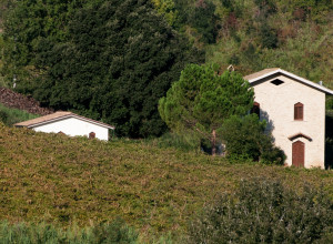 image14 Casa Dell'Orto