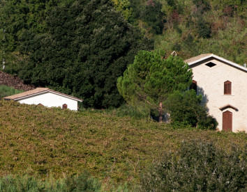 Casa dell'Orto