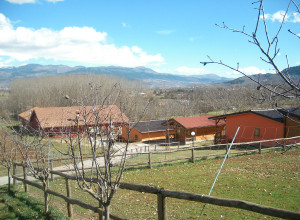 image3 Fattoria Antica Forconia