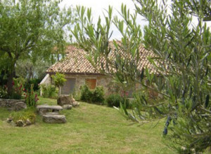 image4 Acampora