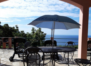 image4 Ulivo E Il Mare
