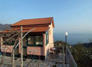image6 Ulivo E Il Mare