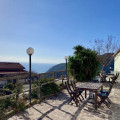 Ulivo E Il Mare