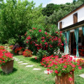 La Bianca Fattoria