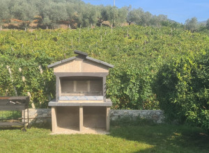 image9 La Collina Verde 