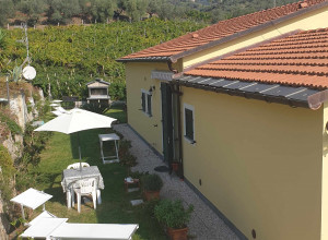 image16 La Collina Verde 
