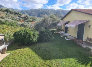 image14 La Collina Verde 