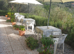 image22 La Collina Verde