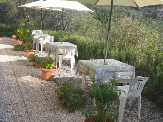 La Collina Verde  foto esterno 34