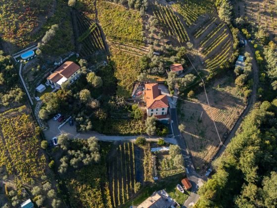 La Collina Verde  - foto 1