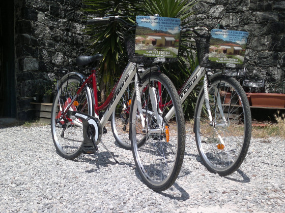 La Collina Verde  foto attività 11