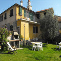 Gli Ulivi