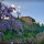 preview image0 esterno