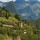 preview image3 esterno