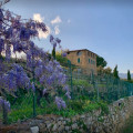 Terre Bianche