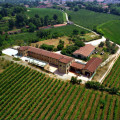 Vojon