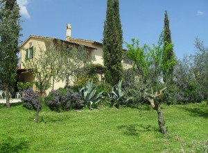 image4 La Fonte 