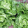 preview image16 esterno