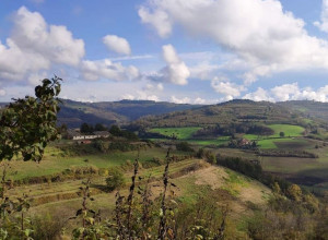 image1 Pilone Votivo