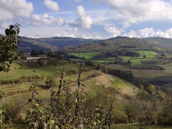 Pilone Votivo - foto 5