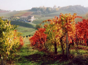 image2 Acetaia Sereni