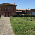 La Baccelliera