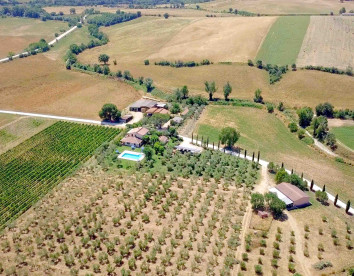 il girasole del terzuolo