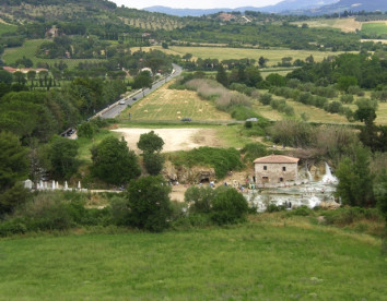 il girasole del terzuolo