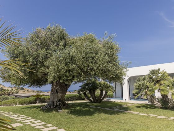 Borgo Giallonardo - foto 17