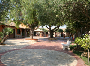 image15 Borgo Dei Vigneti