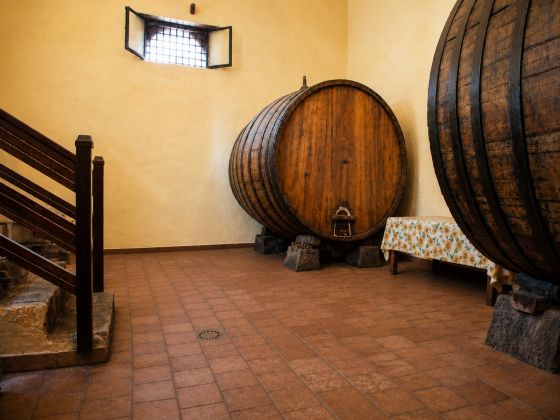 L'Antica Vigna - foto 2