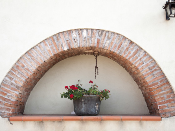 L'Antica Vigna foto 2