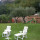preview image4 esterno