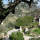 preview image6 esterno