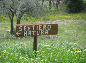 image17 I Tre Archi