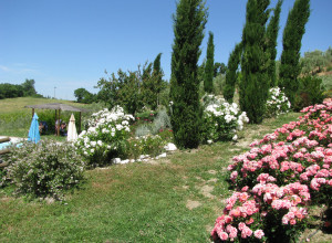 image7 I Tre Archi