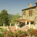 Podere Il Tigliolo