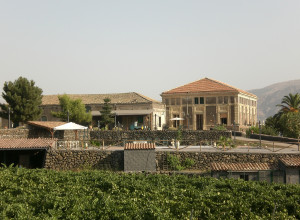 image6 Etna Wine