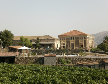 Etna Wine