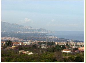 image3 Codavolpe