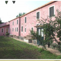 Codavolpe