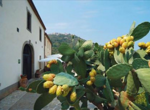 image3 Casali Di Margello